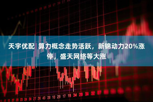 天宇优配  算力概念走势活跃，新锦动力20%涨停，盛天网络等大涨
