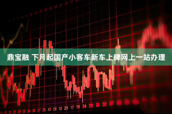 鼎宝融 下月起国产小客车新车上牌网上一站办理