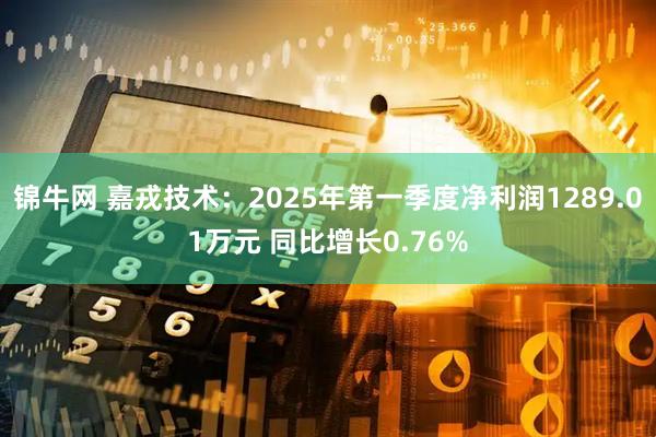 锦牛网 嘉戎技术：2025年第一季度净利润1289.01万元 同比增长0.76%